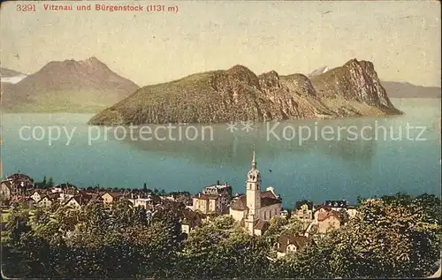 Vitznau Panorama mit Buergenstock / Vitznau /Bz. Luzern