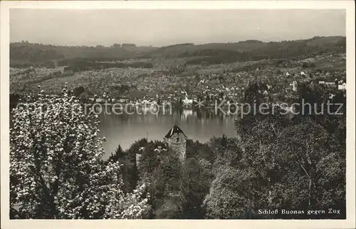 Zug Kanton Schloss Buonas Kat. Zug