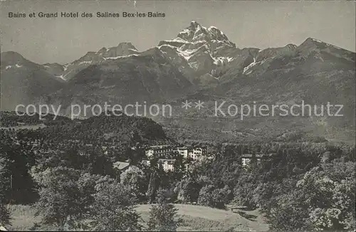 Bex les Bains Panorama Bains et Grand Hotel des Salines Alpes Kat. Bex