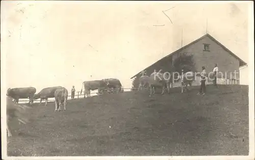 Schoenengrund AR Bauernhof Kuehe Kat. Schoenengrund