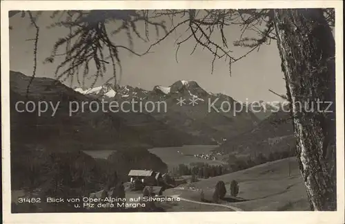 Silvaplana GR Blick von Ober Alpina mit Piz della Margna Kat. Silvaplana