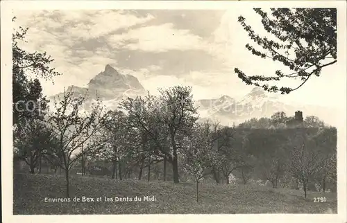 Bex les Bains Dentd du Midi Kat. Bex