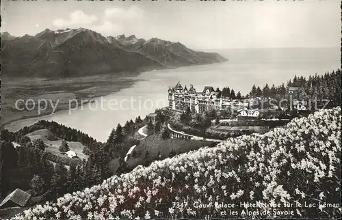 Caux VD Palace Hotel Lac Leman les Alpes de Savoie Kat. Caux