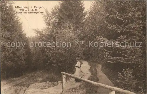 Altenberg Erzgebirge Partie am Aschergraben Kat. Geising