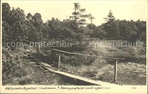 Georgenfeld Naturschutzgebiet Hochmoor Kat. Zinnwald Georgenfeld