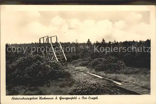 Georgenfeld Naturschutzgebiet Hochmoor Kat. Zinnwald Georgenfeld