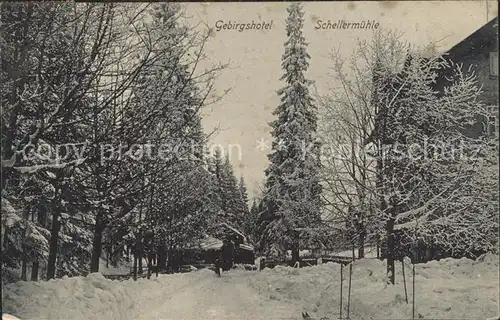 Altenberg Erzgebirge Gebirgshotel Schellermuehle im Winter Kat. Geising