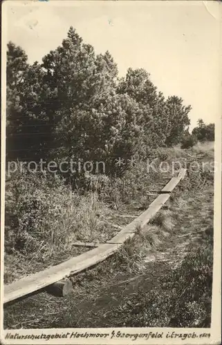 Georgenfeld Naturschutzgebiet Hochmoor Kat. Zinnwald Georgenfeld