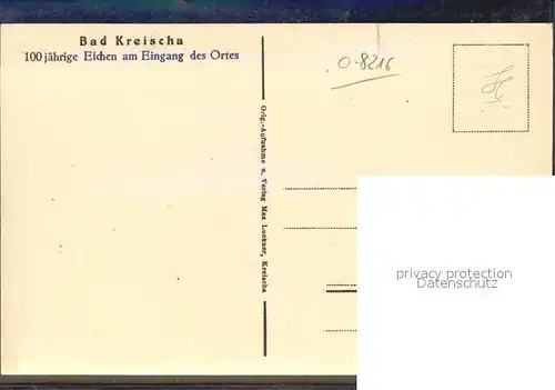 Bad Kreischa 100jaehrige Eichen am Eingang des Ortes