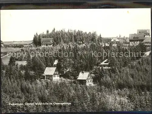 Waldidylle Falkenhain Teilansicht