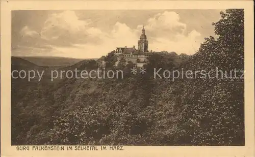 Harz Region Burg Falkenstein Selketal
