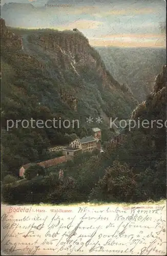 Bodetal Harz Waldkater Kat. Treseburg