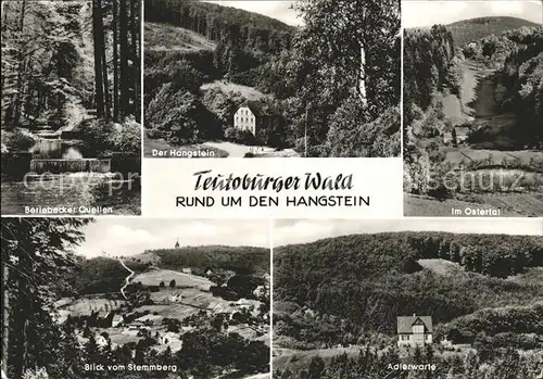 hf00863 Teutoburgerwald Hangstein Ostertal Adlerwarte Stemmberg Blick  Kategorie. Detmold Alte Ansichtskarten