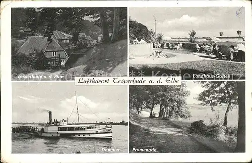 Tesperhude Elbe Landhaus Garten Dampfer Promenade Luftkurort Kat. Hamburg