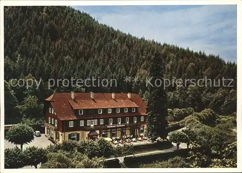 Baden Baden Waldhotel Fischkultur Kat. Baden Baden