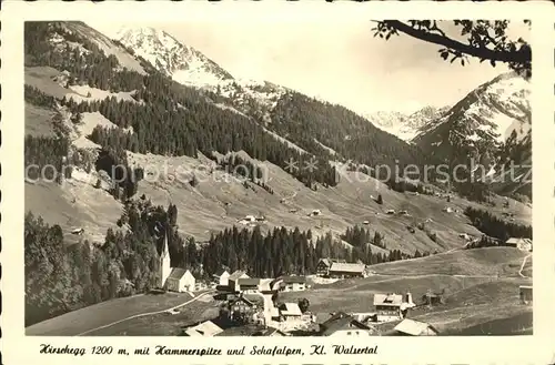 Hirschegg Kleinwalsertal Vorarlberg mit Hammerspitze und Schafalpen Kat. Mittelberg