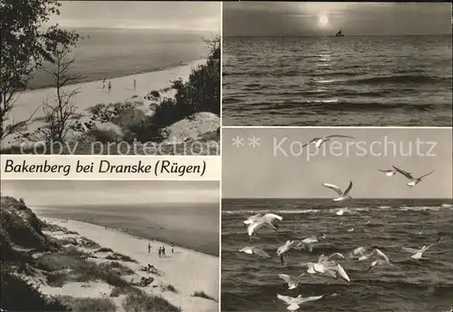 Bakenberg Strand Duenen Abendstimmung Moewen Kat. Dranske