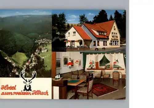 Kamschlacken Hotel zum weissen Hirsch / Riefensbeek-Kamschlacken /Osterode Harz LKR