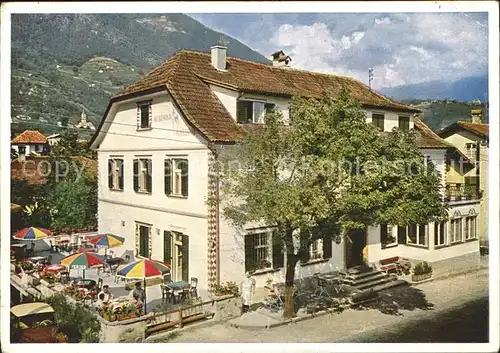 Algund Merano Wein  Obstbauerndorf Kat. Italien