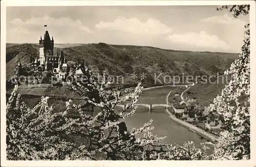 Cochem Mosel Panorama mit Burg Baumbluete Kat. Cochem