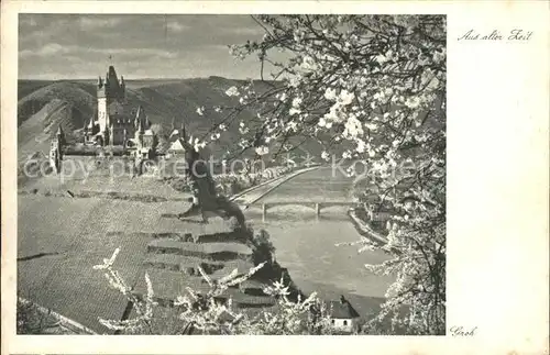 Cochem Mosel Panorama mit Burg Baumbluete Kat. Cochem