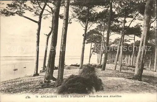 Arcachon Gironde Cote d Argent Kat. Arcachon