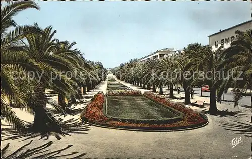 Fes Avenue Hassan II vers l Empire Palmiers Kat. Marokko