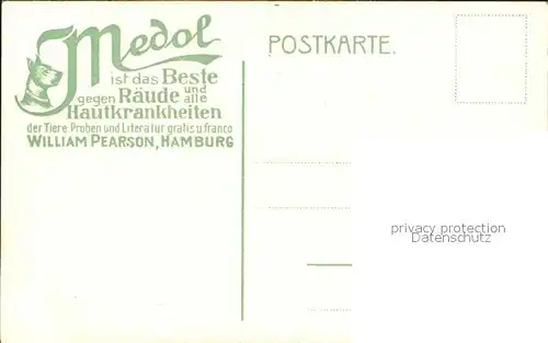 Japan ueberdachtes Japanisches Boot Medol Hundemedizin W. Pearson Hamburg Kat. Japan