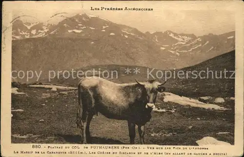 Col de Puymaurens Plateau Vache et les Pyrenees