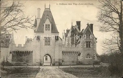 Les Pins Villavard Chateau