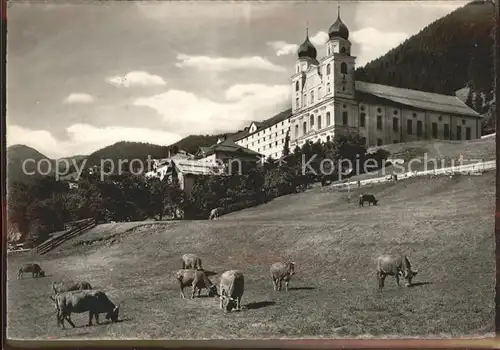 Disentis GR Kloster Viehweide Kuehe Kat. Disentis