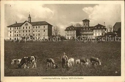 Rueti Zollikofen Landwirtschaftliche Schule Kuehe Bauer / Ruetti Zollikofen /Bz. Bern