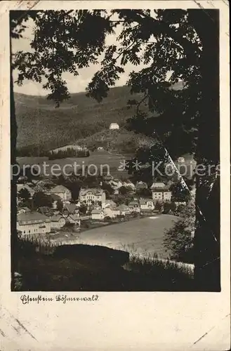 Markt Eisenstein Zelezna Ruda Boehmerwald  / Zelezna Ruda /Klatovy