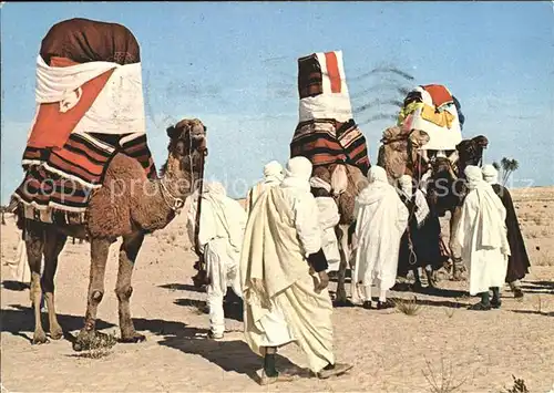 Hammamet Mariage traditionnel dans le desert Kamel Kat. Tunesien