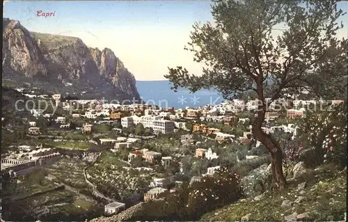 Capri Panorama Kat. Italien