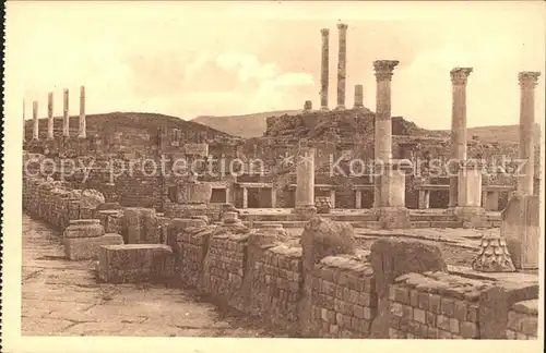 Timgad Ruines Romaines Colonnes du Promaos du Capitole Marche Antike Staette Kat. Algerien