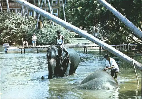 Bentota Sri Lanka Elephant Bathing Kat. Ahungalla