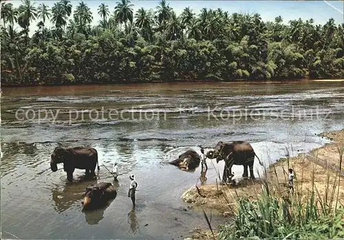 Sri Lanka Elephant Bath Kat. Sri Lanka