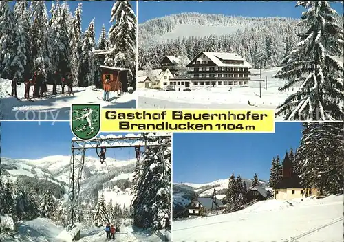 Heilbrunn Naintsch Gasthof Bauernhofer Brandlucken Wintersportplatz Lift Wappen