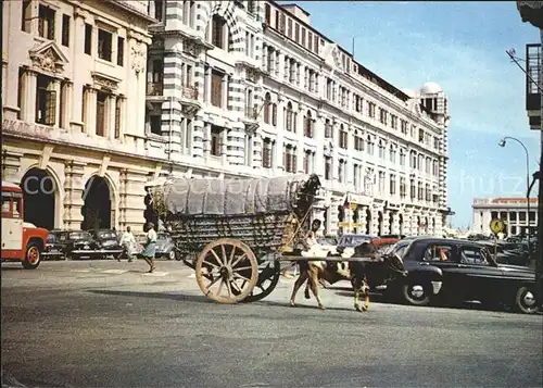 Ceylon Sri Lanka Bullock Carts Kat. 