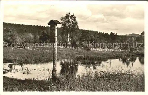 Schwenningen Neckar Neckarursprung im Schwenninger Moos / Villingen-Schwenningen /Schwarzwald-Baar-Kreis LKR