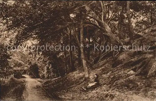 Bergen aan Zee Hoogeduintje op den weg van Bergen naar Egmond / Niederlande /