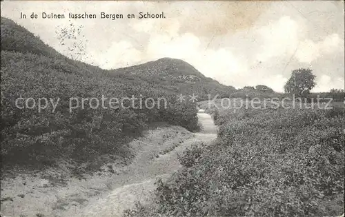 Bergen aan Zee Duinen tusschen Bergen en Schoorl / Niederlande /