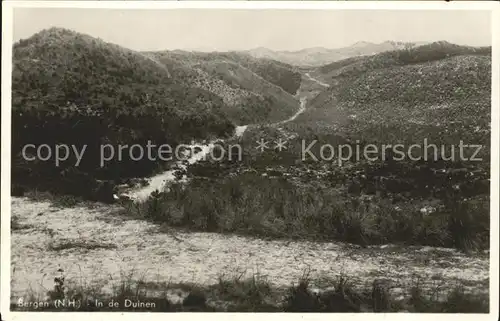 Bergen aan Zee Duinen D?nen / Niederlande /