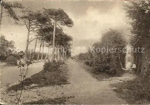 Bergen aan Zee Eeuwigelaan Beurweg / Niederlande /