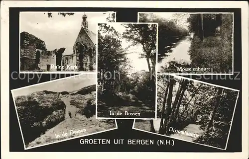 Bergen aan Zee Ruine Kerk Bossen Mosselenbuurt Duinen Droomlaantje / Niederlande /