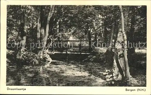 Bergen aan Zee Droomlaantje Holzbruecke / Niederlande /