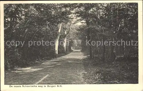 Bergen aan Zee Schoorlsche weg / Niederlande /