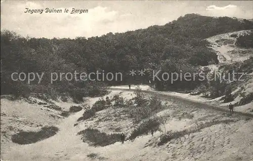 Bergen aan Zee Ingang Duinen Duenen / Niederlande /