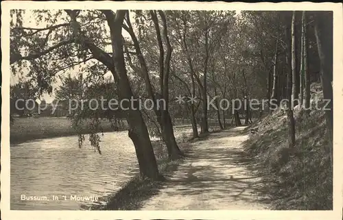 Bussum In t Mouwtje Kat. Niederlande